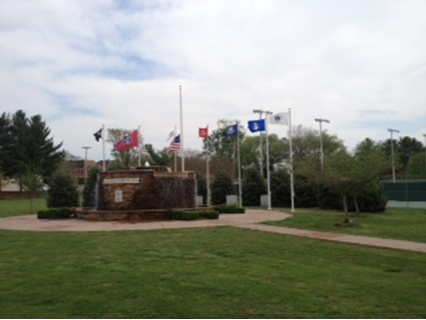 American flags line Hendersonville's Main Street in honor of veterans